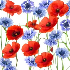 Servietten - Sommerfeld