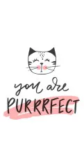 Handkerchiefs - Purrrfect
