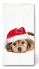 Taschentücher - Weihnachtshund2