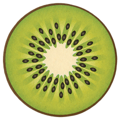 Untersetzer aus Karton - Kiwi