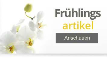 Eine Orchidee - Frühlingsartikel