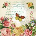 Cocktail napkins - Portrait of butterfly