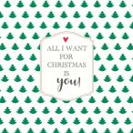 Servietten - All I want for Christmas...