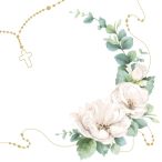 Napkins - Special day