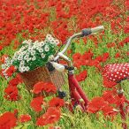Napkins - In the poppie field
