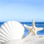 Napkins - Shells by the sea