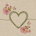 Napkins - Passion - 100% of recycling
