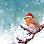 Napkins - Robin Snow