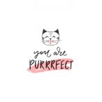 Handkerchiefs - Purrrfect