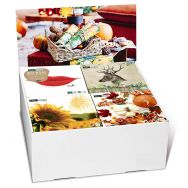 Display Servietten - Herbst - 24 Packungen