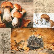 Servietten - Pilze und Igel
