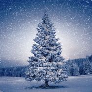 Servietten mit einer Schneelandschaft und einem Baum mit Schnee
