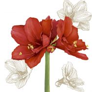 Servietten - Blüte Rot