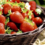 Servietten - Erdbeeren im Korb