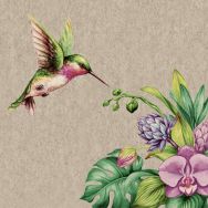 Napkins - Heaven Scent - 100% of recycling