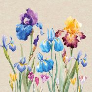 Napkins - Iris - 100% of recycling