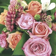 Servietten - Romantische Blumen - Rosen