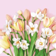 Servietten - Tulpenfreude