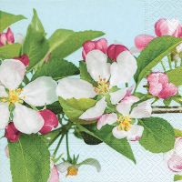 Cocktailservietten - Apfelblüte