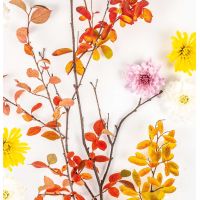 Cocktail napkins - Autumn Branch