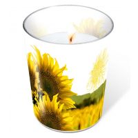 Candle in a glass - Dusk Sunflower
