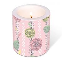 Candle - Dream off