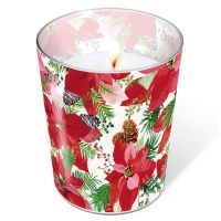 Candle in a glass - Shiny poinsettia