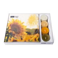 Kombibox - Sonnenblume in der Dämmerung