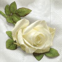 Servietten - Weiße Rose