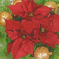 Servietten - Adventsstern Weihnachtsstern