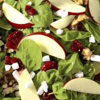 Napkins - Fresh salad