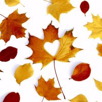 Servietten - Herbstliebe