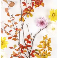 Napkins - Autumn Branch