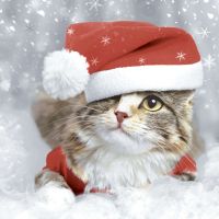 Servietten - Katzen-Weihnachten