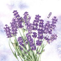 Napkins - Lavender oasis