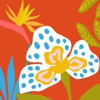 Servietten - Orchidee