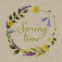 Napkins - Spring Time - 100% of recycling