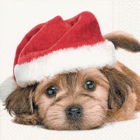 Servietten - Santa dog