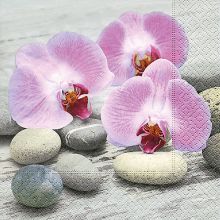 Cocktailservietten - Orchideen auf Steinen