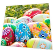 Cocktail napkins - Vibrant Eggs