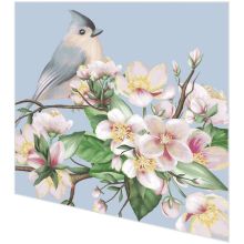Cocktail napkins - Bird Lyrics