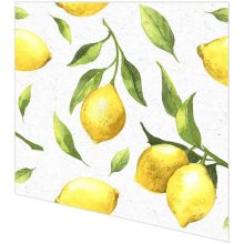 Cocktail napkins - Citrus