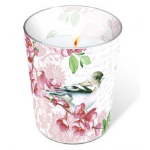 Candle in a glass - Sweet bird