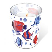 Candle in a glass - Tropical fish