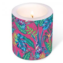 Candle - Chameleon