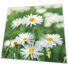 Servietten - Viele Gänseblümchen - 3