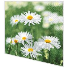 Servietten - Viele Gänseblümchen - 2