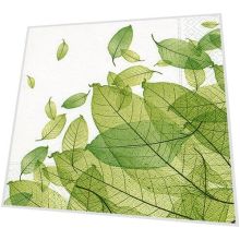 Napkins - A touch of nothing
