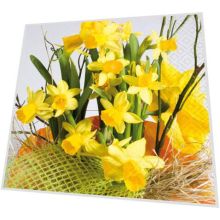 Napkins - Daffodil blossoms