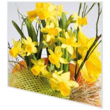 Napkins - Daffodil blossoms
